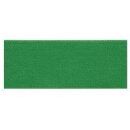 957402 Elastic-Bund 38 mm grün - KAS á 10 M