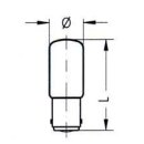 Glühlampen 220V/15W/Stecksockel/Kugelform