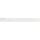 904611 Baumwollband 15 mm weiß - KTE á 5 M